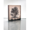 Birch Tree, frosted black and light plum mini cast, 9x8cm