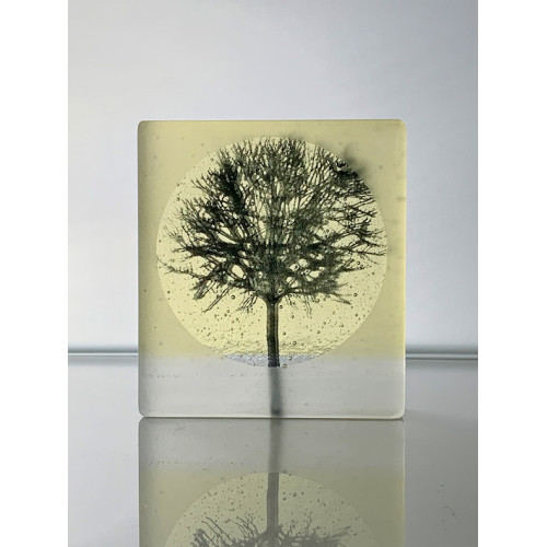 Young Tree, frosted black & yellow, mini cast
