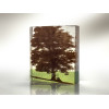 Ash Tree, sepia, opaline, fern green mini cast, 9 x 8cm 