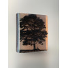 Ash Tree, blak, opaline, light plum glass, 9 x 8cm