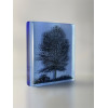 Birch Tree, black, opaline and light sky-blue glass, 9 x 8cm