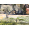Deeside Birches 2, oil on panel, 61 x 61cm