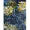 Fennel Flowers, acrylic on canvas, 60 x 60cm