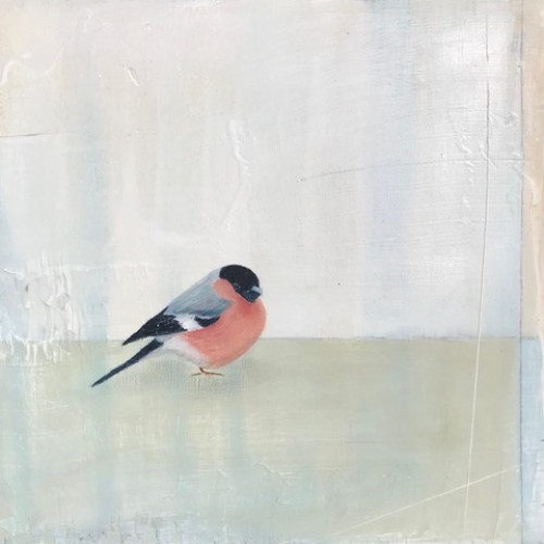 Bullfinch