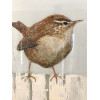 Wren, oil on board, 30 x 30cm