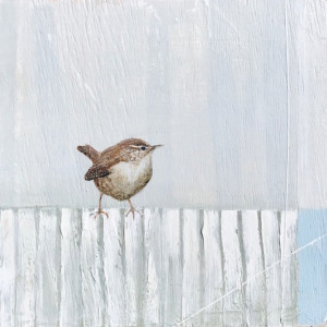Wren, oil on board, 30 x 30cm