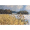 Winter Reeds, oil and cold wax on canvas,  95 x 95cm