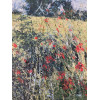 Poppy Field 1,  oil and cold wax  on board, 20.5 x 20.5cm