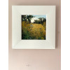 Poppy Field 2,  oil and cold wax  on board, 20.5 x 20.5cm