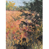 Poppy Field 3,  oil and cold wax  on board, 20.5 x 20.5cm