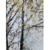 Bright Morning, oil and cold wax on board, 100 x 100cm