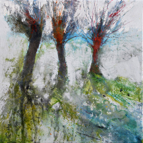 Pollarded Willows, acrylic on canvas, 30 x 30cm 